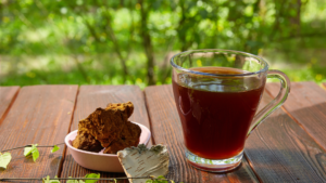 Chaga Tea, mushroom