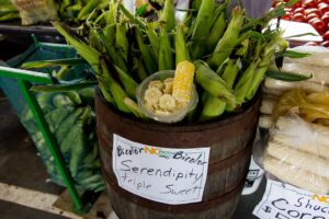 Corn barrel. Corn for sale