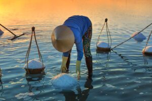 Sea Salt Harvesting