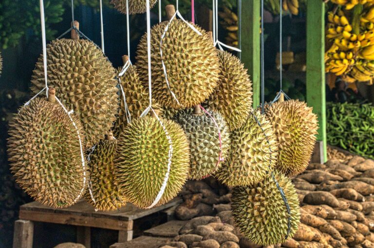 Durian- King of Fruits