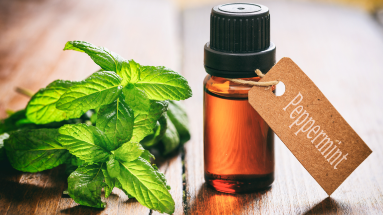 peppermint-oil